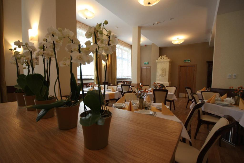 Hotel Vabank Golub-Dobrzyń Extérieur photo